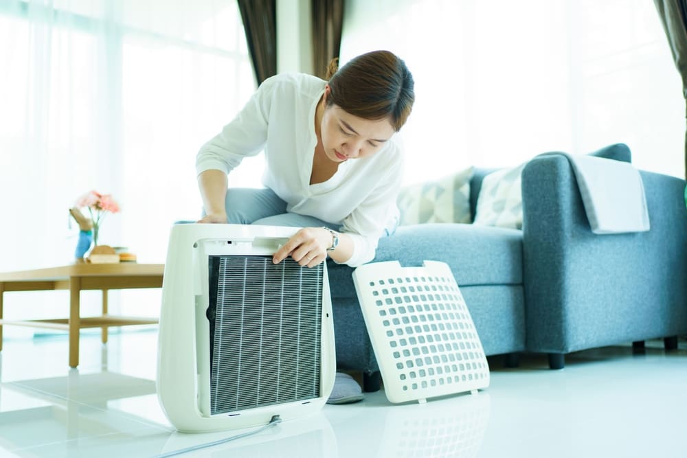 portableairpurifier